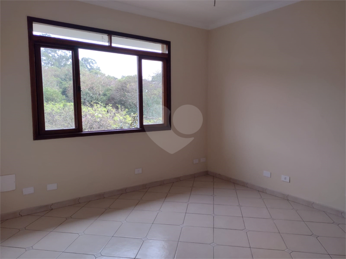 Foto REO864370