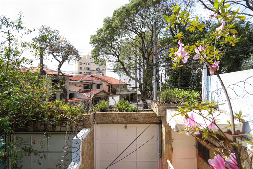 Venda Casa São Paulo Jardim Paraíso REO864613 6