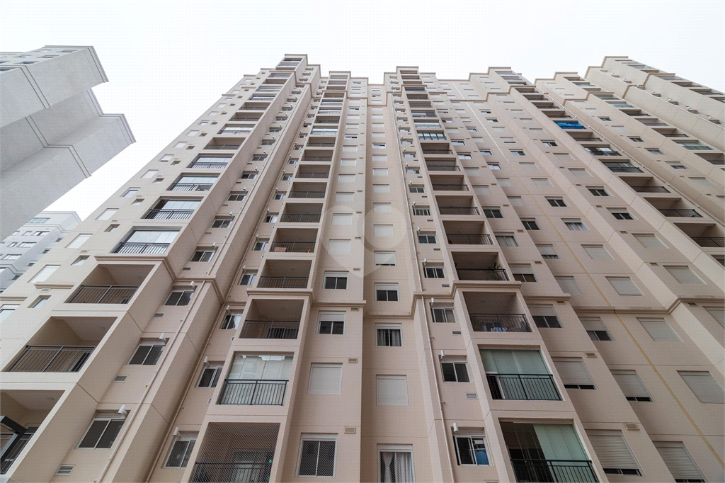 Venda Apartamento São Paulo Brás REO864654 97