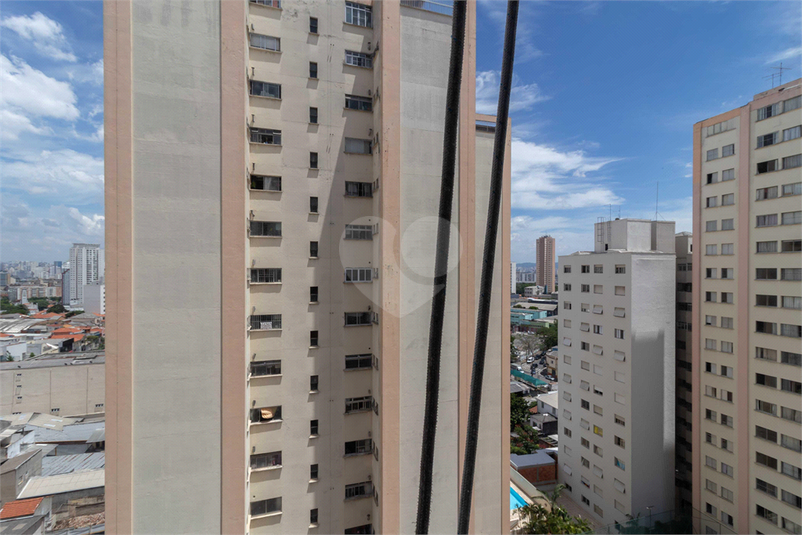 Foto REO864840
