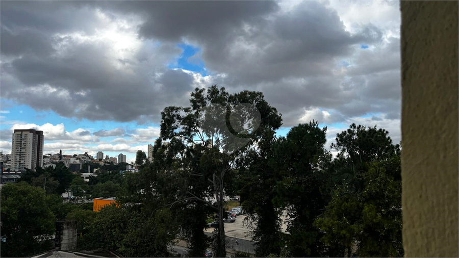Foto REO864894