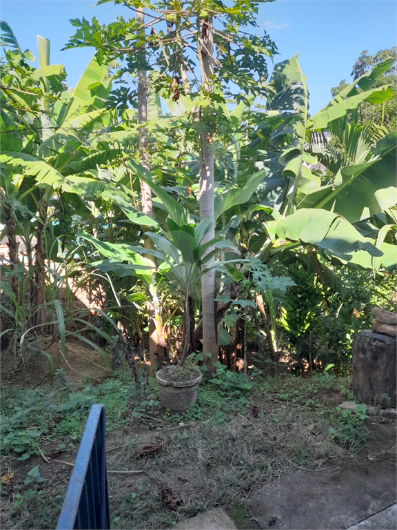 Venda Casa Rio De Janeiro Campo Grande REO865543 15