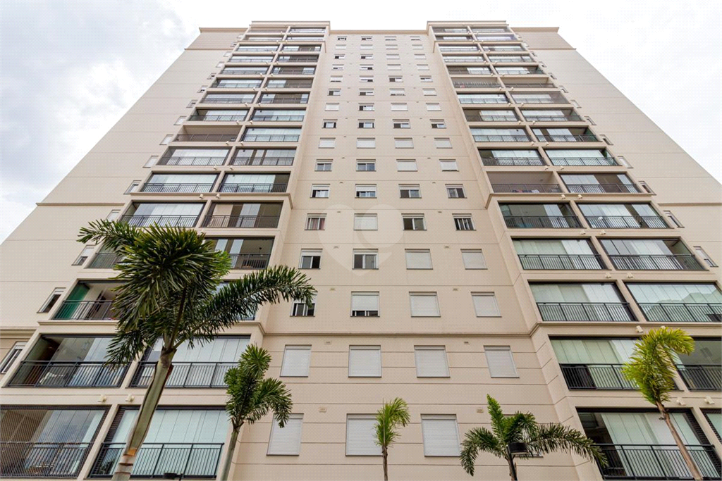 Venda Apartamento São Paulo Cambuci REO865566 57