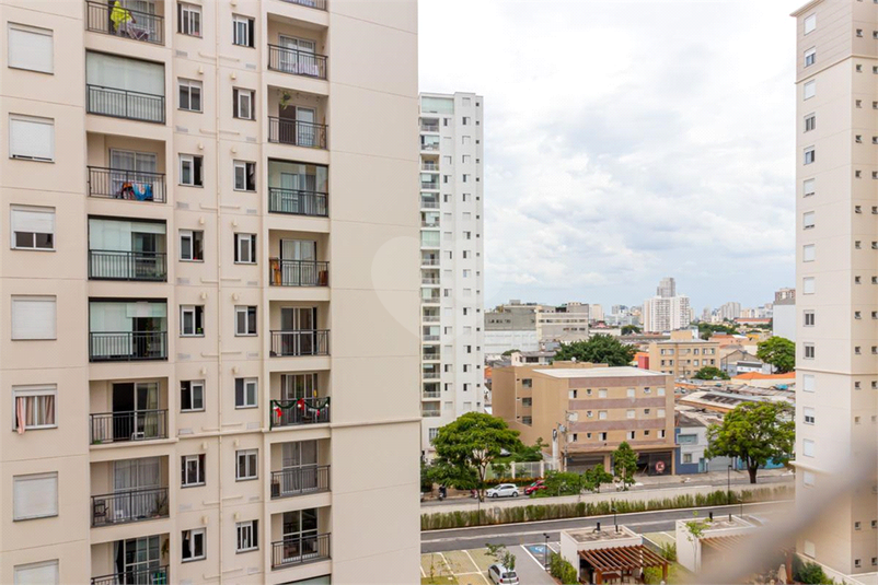 Venda Apartamento São Paulo Cambuci REO865566 11