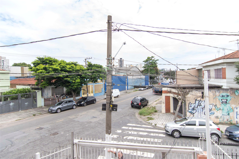 Foto REO866099