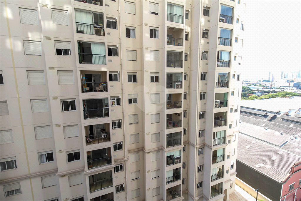 Venda Apartamento São Paulo Brás REO866130 28