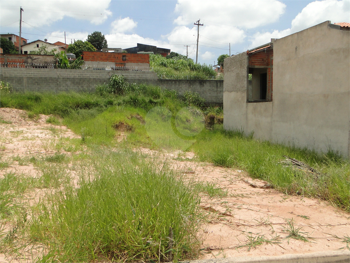 Foto REO866552