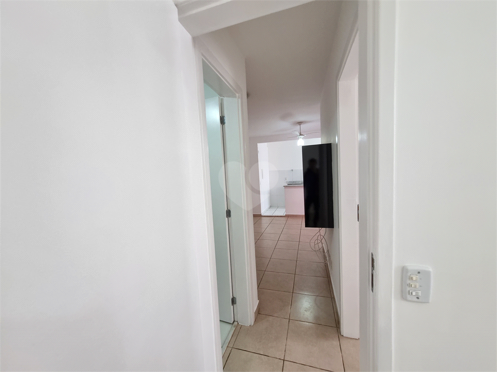 Aluguel Apartamento Campo Grande Cabreúva REO866808 8