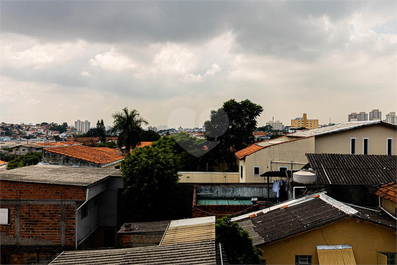 Foto REO866957