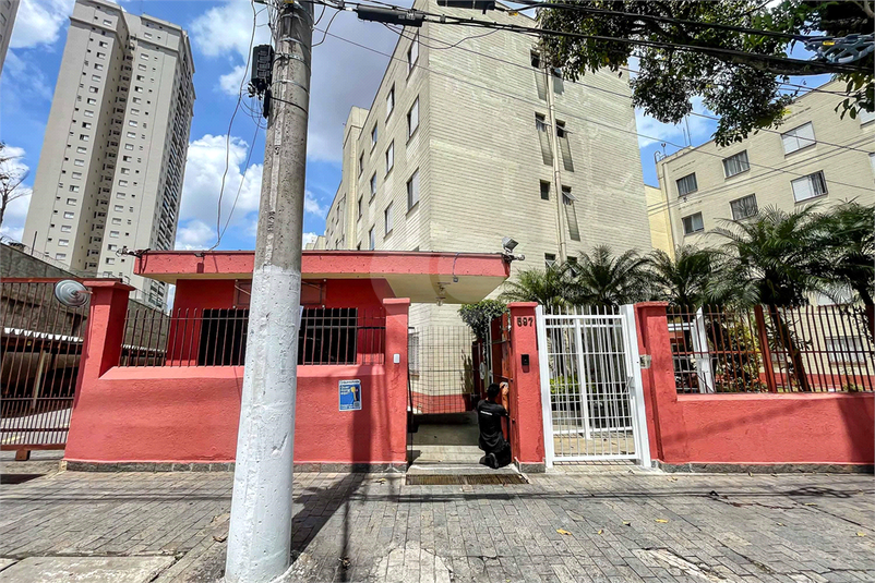 Foto REO867139