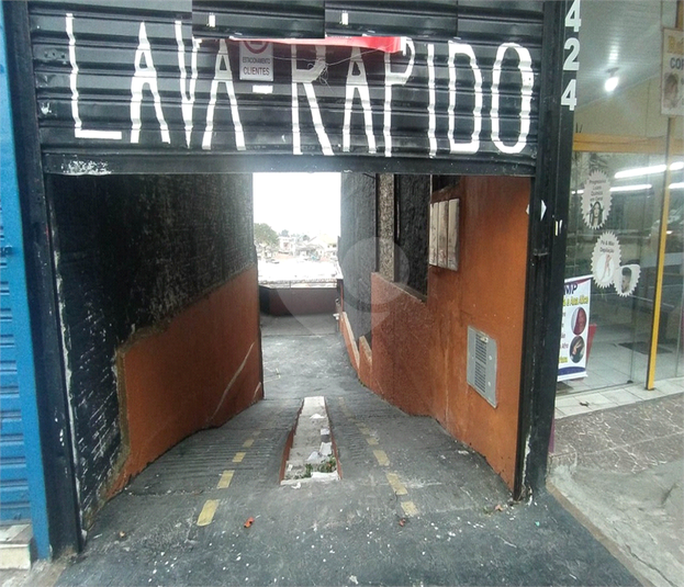Foto REO867409