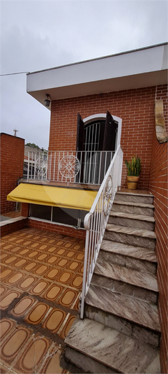 Foto REO867725