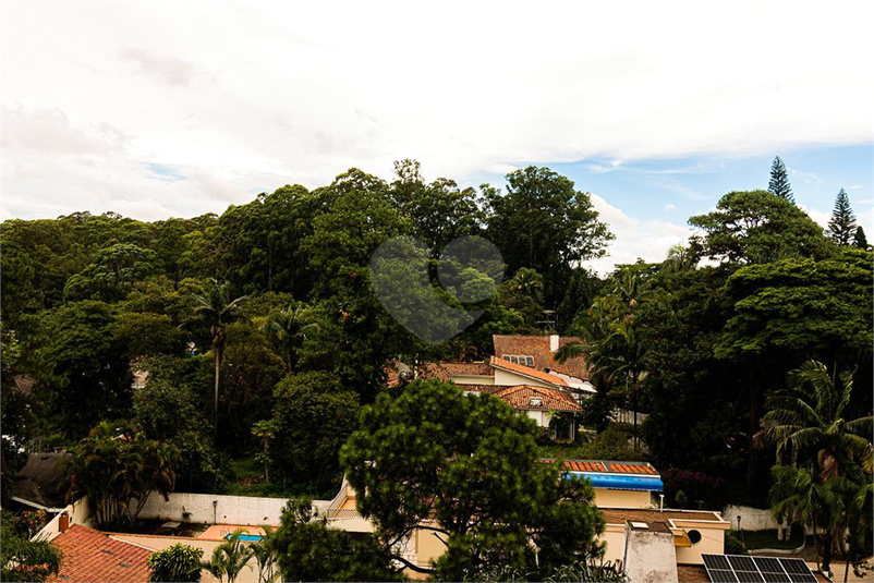Foto REO867744