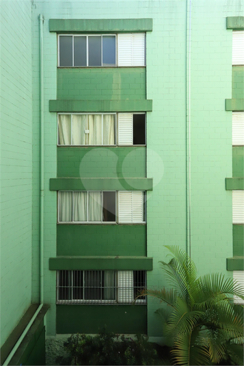 Foto REO868281
