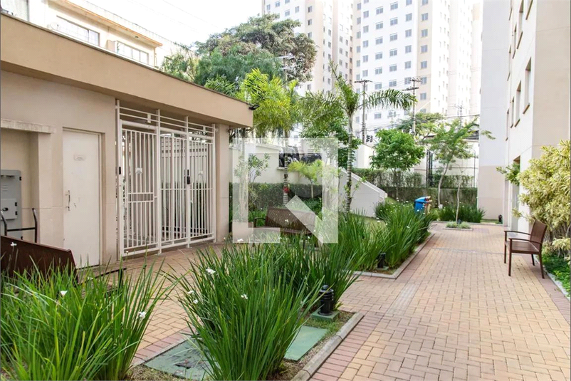 Venda Apartamento São Paulo Cambuci REO868321 37