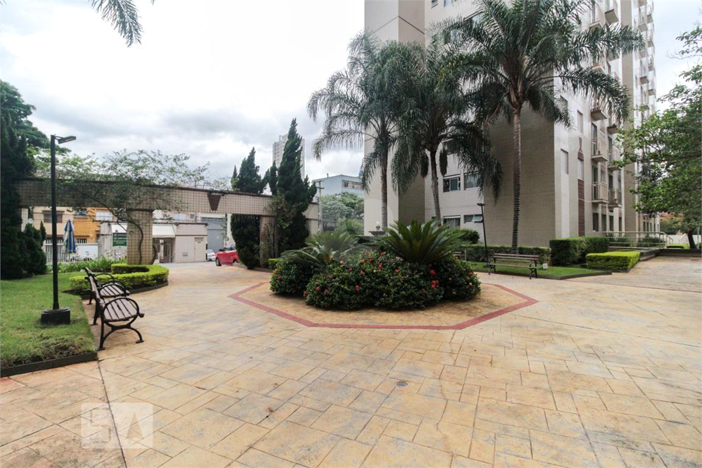 Venda Apartamento São Paulo Cambuci REO868469 56