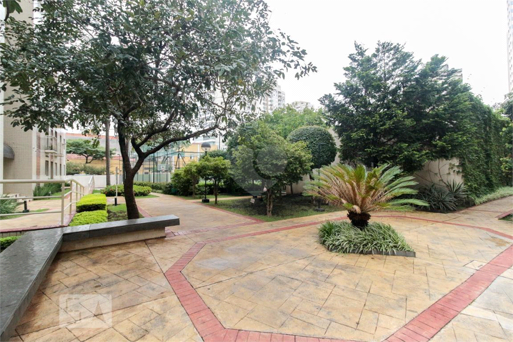 Venda Apartamento São Paulo Cambuci REO868469 55