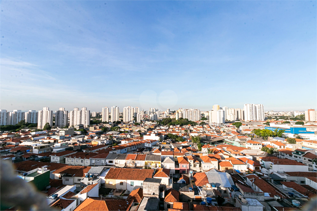 Venda Apartamento São Paulo Parque São Jorge REO868531 25