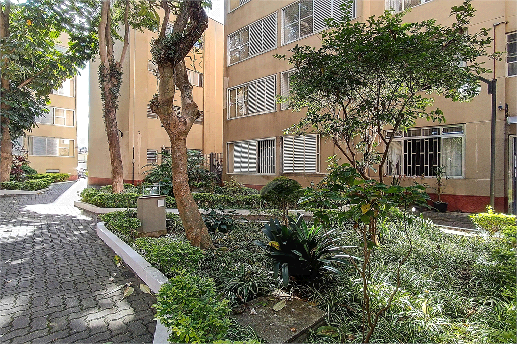 Venda Apartamento São Paulo Vila Constança REO868636 52