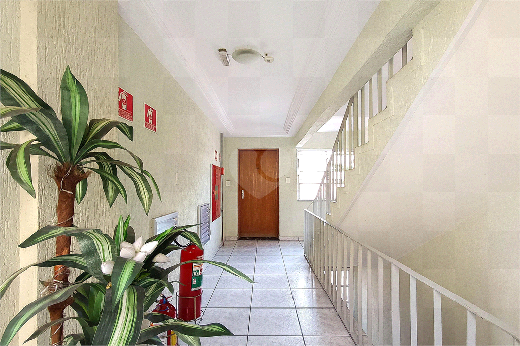 Venda Apartamento São Paulo Vila Constança REO868636 48