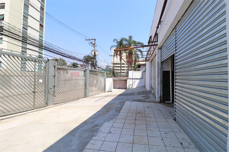 Foto REO86870