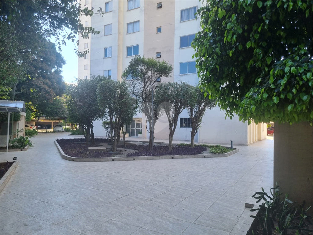 Venda Apartamento São Paulo Mooca REO869046 16