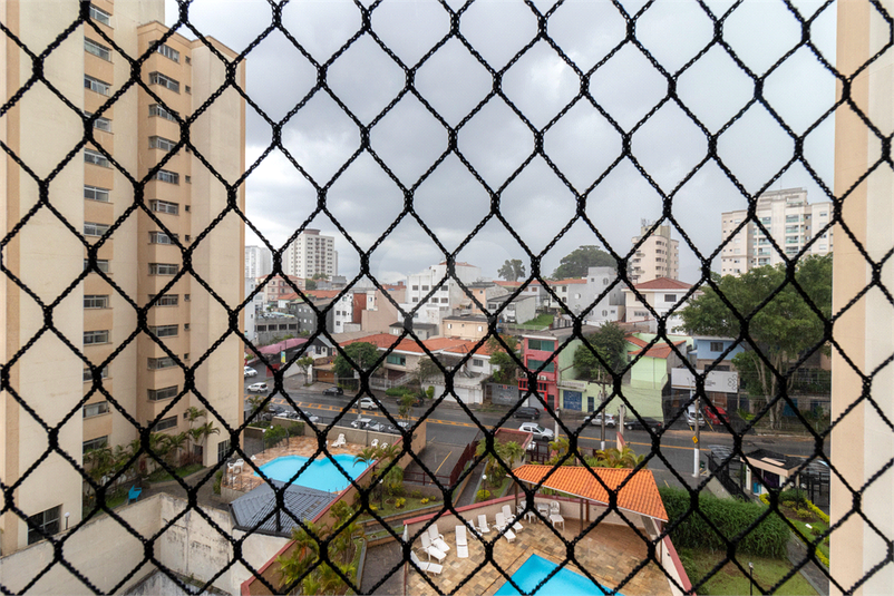 Foto REO869127