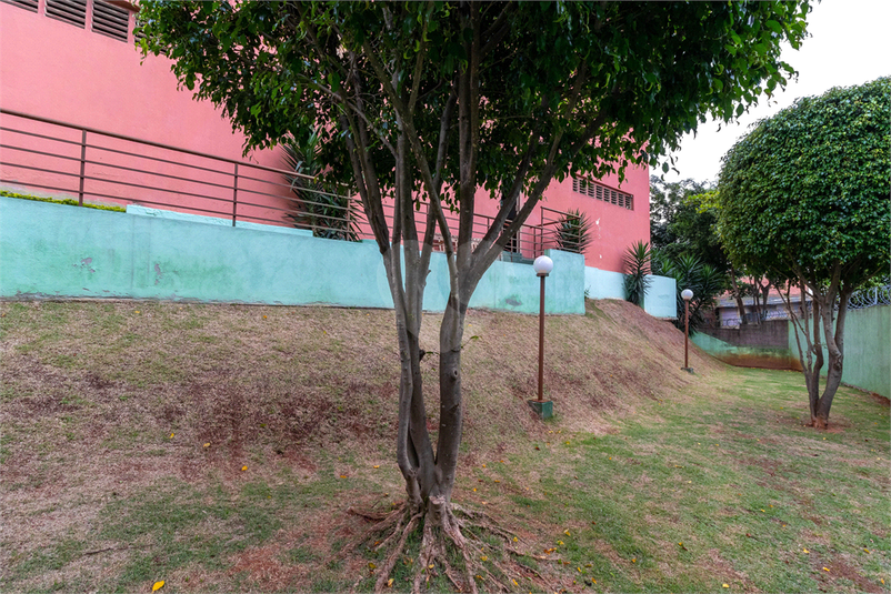 Foto REO869127