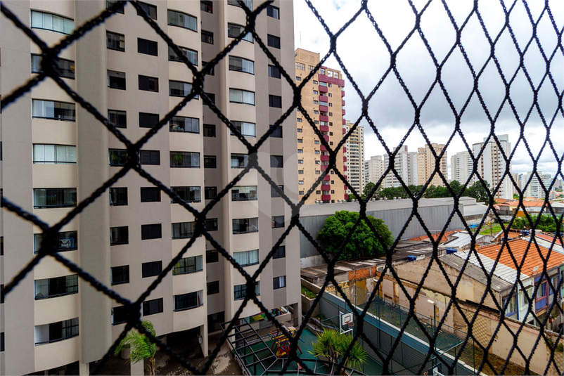 Foto REO869298