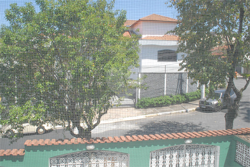 Foto REO869394