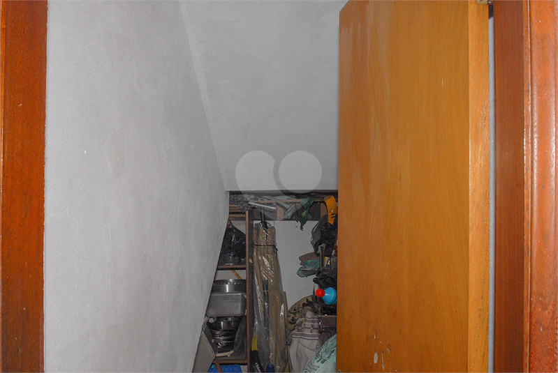 Foto REO869394