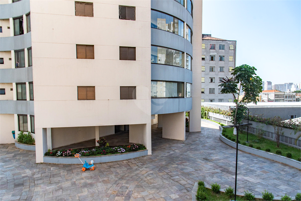 Venda Apartamento São Paulo Cambuci REO869442 14