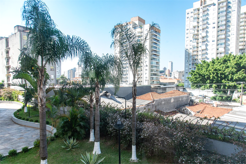 Foto REO869442