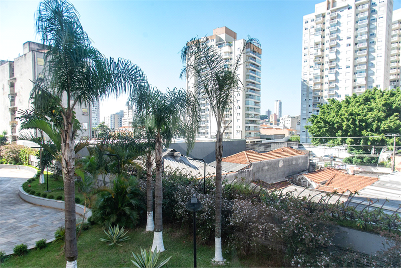 Venda Apartamento São Paulo Cambuci REO869442 9