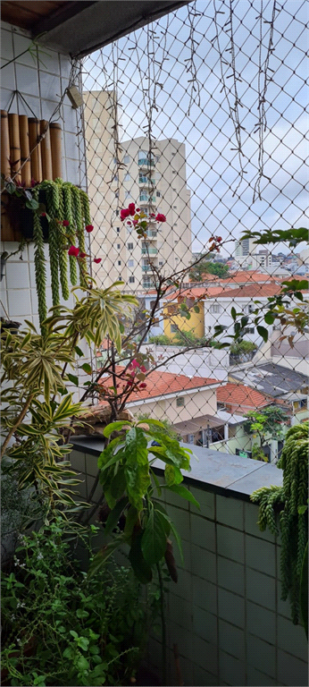 Venda Apartamento São Paulo Tucuruvi REO869716 12