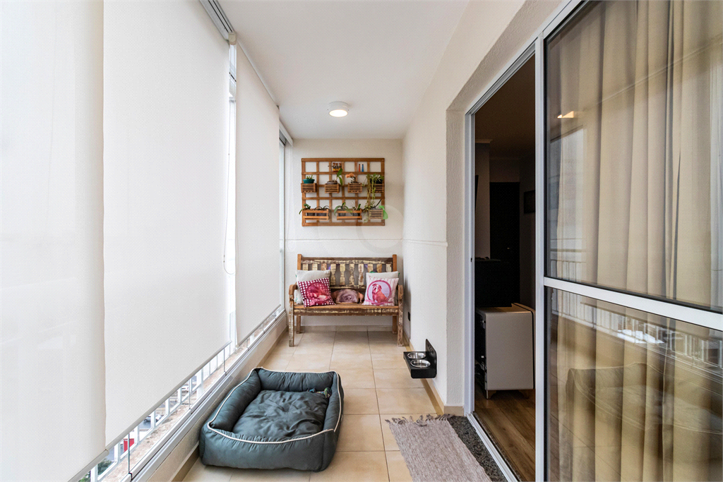 Venda Apartamento São Paulo Cambuci REO869721 8