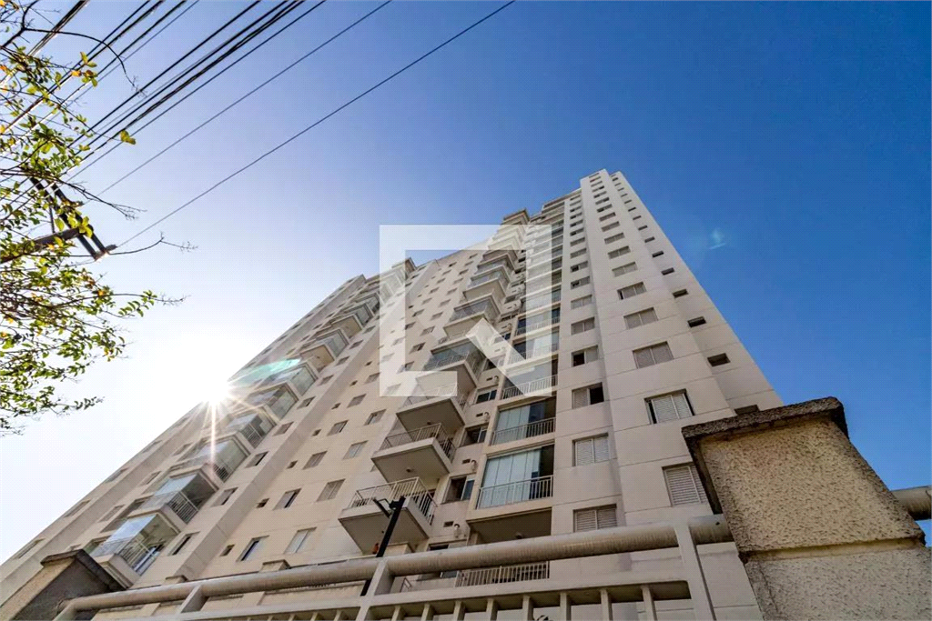 Venda Apartamento São Paulo Cambuci REO869721 49