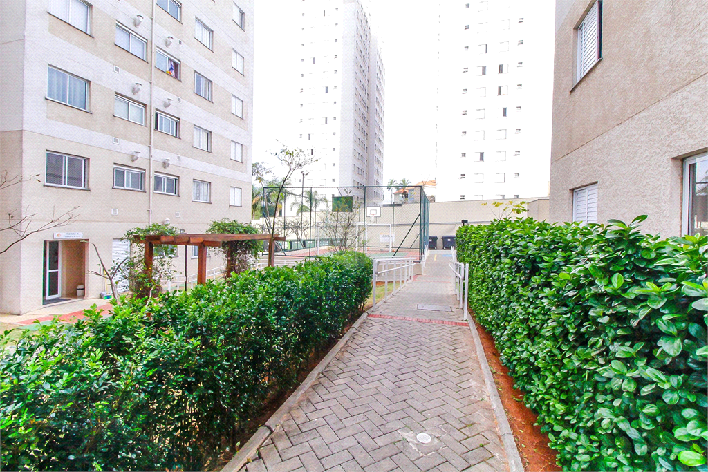 Venda Apartamento São Paulo Quinta Da Paineira REO870065 33