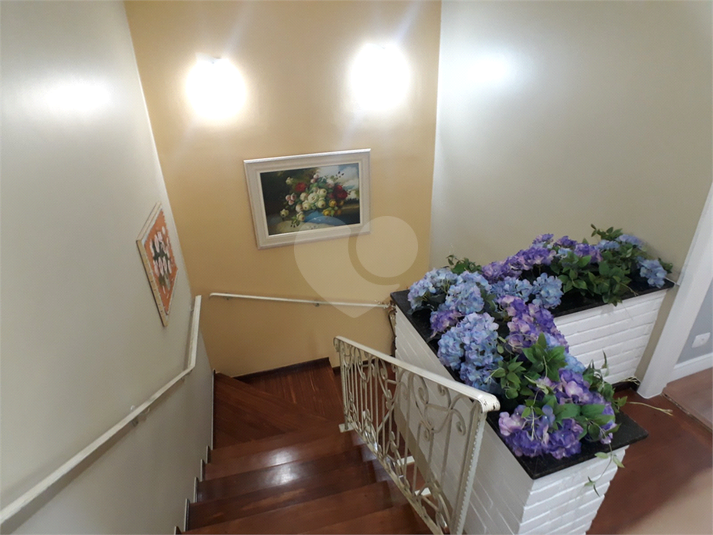 Foto REO870084