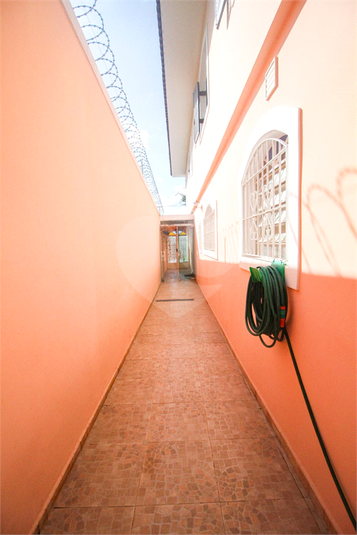 Foto REO870587