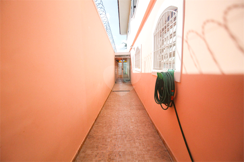 Foto REO870587