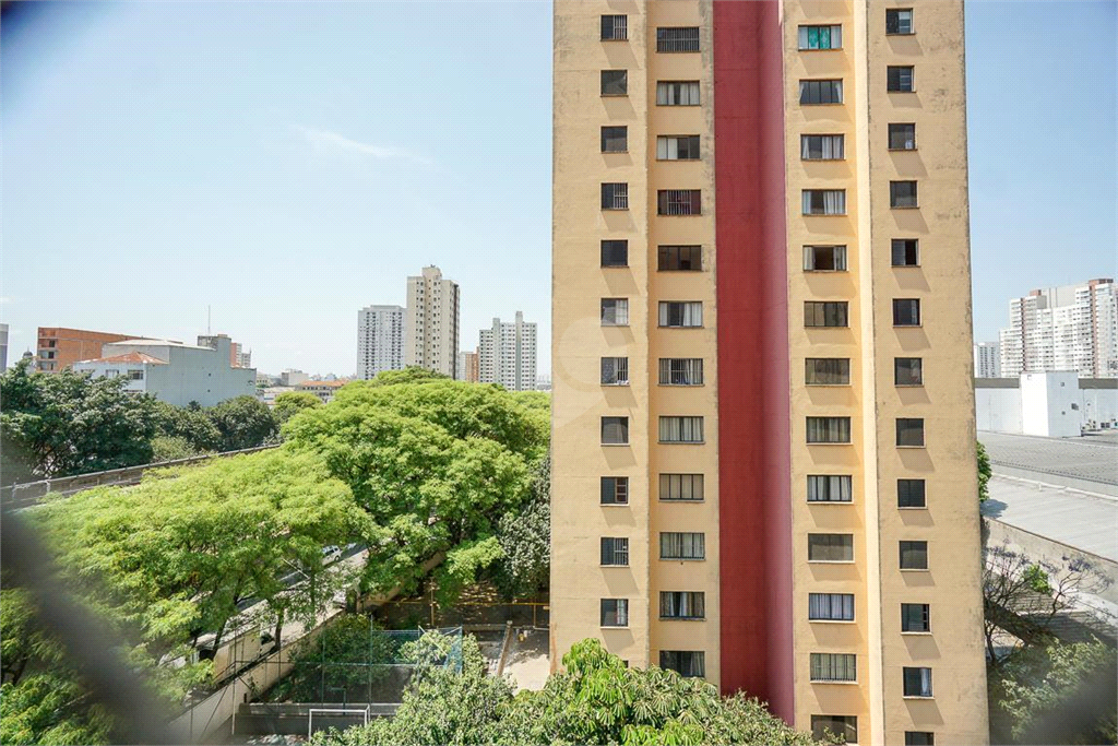 Venda Apartamento São Paulo Brás REO870706 4