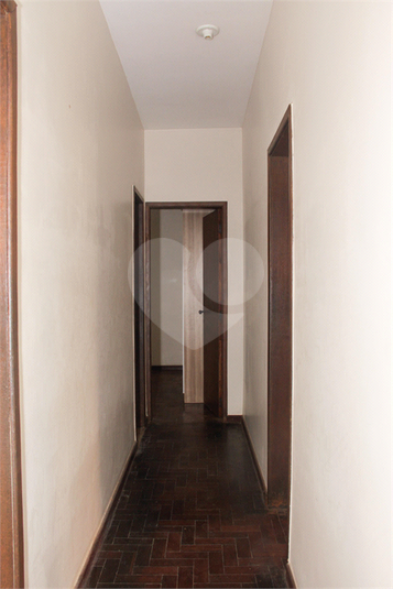 Foto REO871184