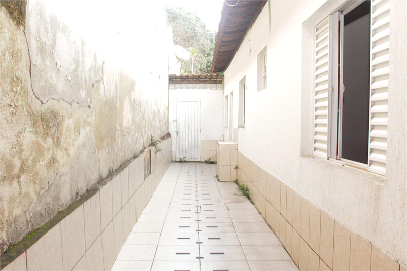 Foto REO871184