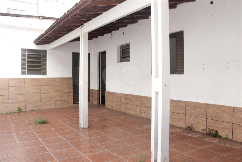 Foto REO871184