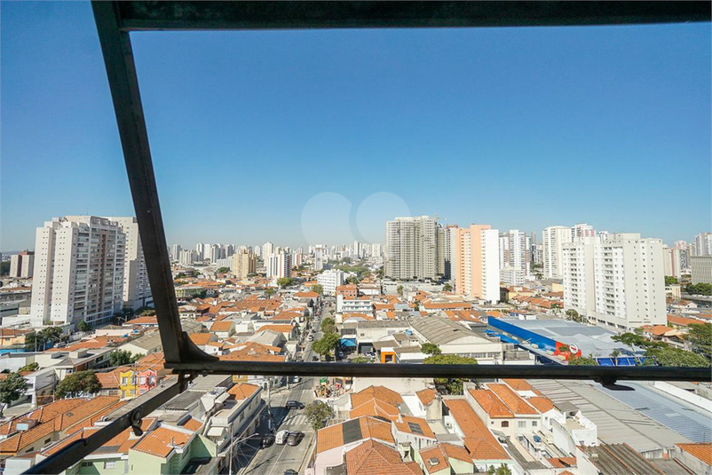 Foto REO871338