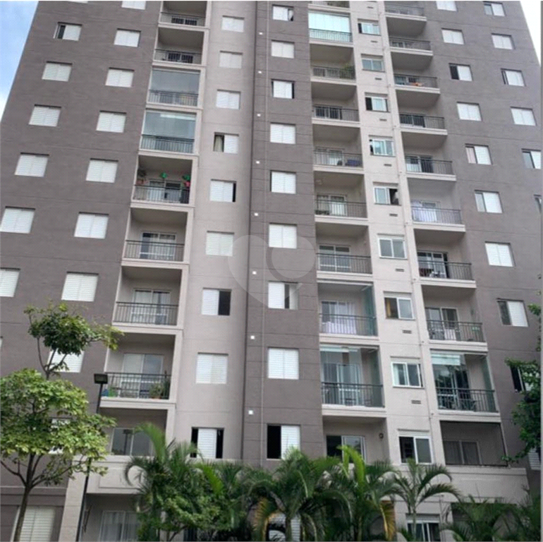 Venda Apartamento São Paulo Vila Talarico REO871412 5