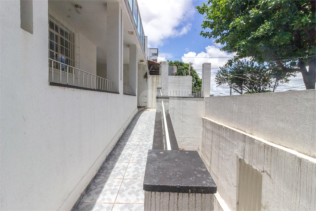 Venda Casa Belo Horizonte Nova Suíssa REO871569 42