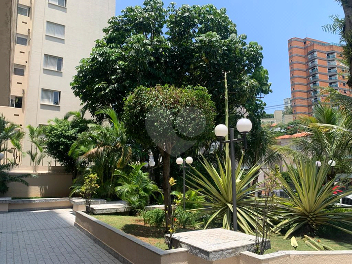 Foto REO871692