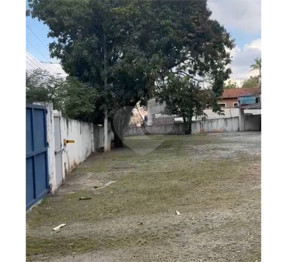 Aluguel Terreno São Paulo Vila Indiana REO87211 4